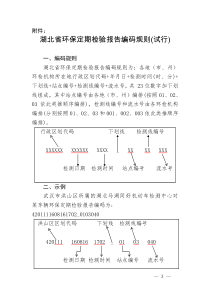 湖北省环保定期检验报告编码规则试行