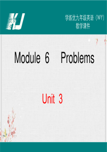 外研版九年级英语上册课件Module6Unit3