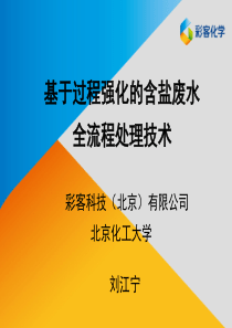 1基于过程强化的含盐废水全流程处理技术