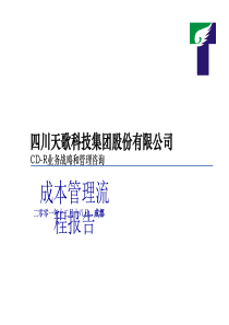 普华永道—天歌集团成本管理流程