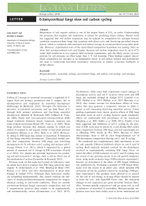 2Ectomycorrhizalfungislowsoilcarboncycling