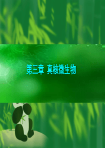 03第三章真核微生物