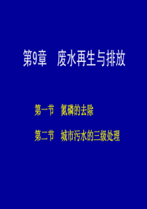 9城市污水的深度处理