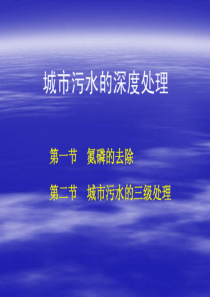 15水污染控制工程城市污水的深度处理