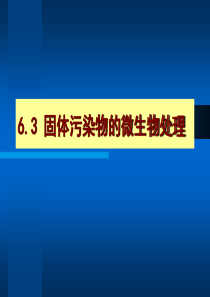 63固体污染物的微生物处理