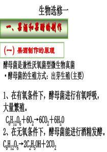 高中生物选修一复习PPT