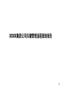 某集团公司关键管理流程规划报告