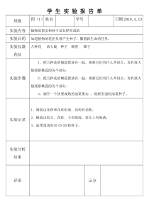 植物的果实和种子是怎样形成的实验报告单11