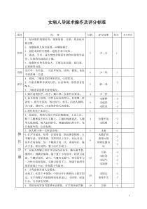 女病人导尿术操作及评分标准