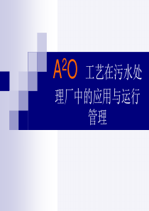 A2O工艺PDF版本