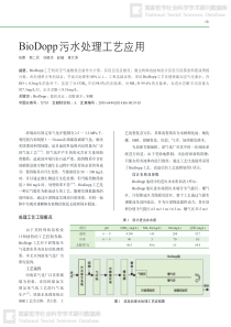 BioDopp污水处理工艺应用