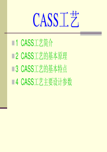 CASS工艺简介7f87c66a2e3f5727a5e962dd