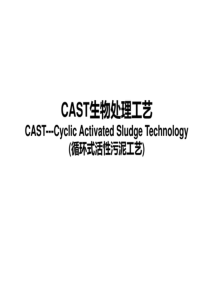 CAST工艺介绍