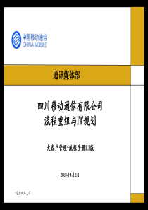 毕博_四川移动大客户流程手册