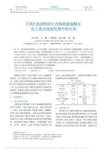 CM大表面积块片式陶瓷超滤膜在化工废水深度处理中的应用付江涛