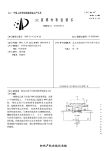 CN011101768A移动正离子污染的测试装置及方法119