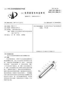 CN2006201192743用于污水处理的滚梯型自清式格栅除污机公开号200940096