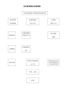 治安紧急情况处理流程