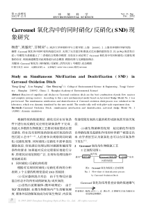 corrousel中的同时硝化反硝化