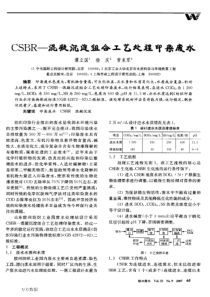 CSBR混凝沉淀组合工艺处理印染废水