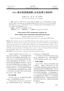 DNT二硝基甲苯炸药废水铁炭微电解生化处理工程实例