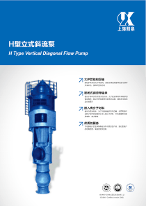 H型斜流泵