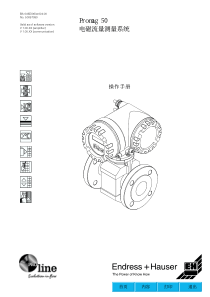Promag50电磁流量计说明书EH