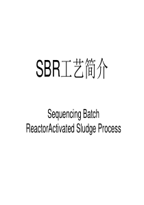 SBR工艺简介