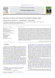 SynergismofnaturalandconstructedwetlandsinBeijingC