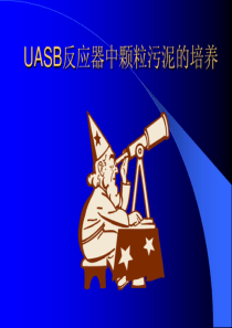 UASB反应器中颗粒污泥的培养1