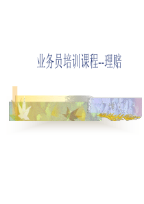 理赔流程(培训稿)