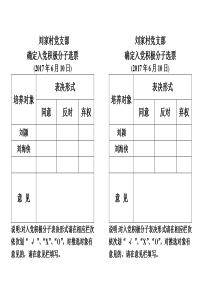 入党积极分子推选票A4版面