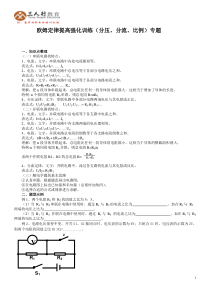 7.专题训练：(分压、分流、比例)专题