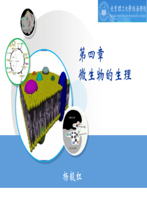 YYH第四章微生物的生理