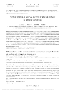 白洋淀富营养化湖泊湿地厌氧氨氧化菌的分布及对氮循环的影响王衫允