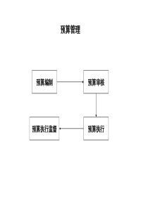 石油开采业-预算管理流程