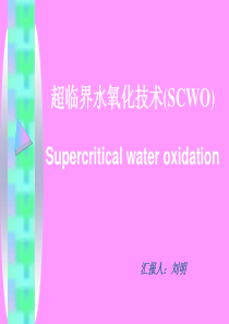 超临界水氧化技术