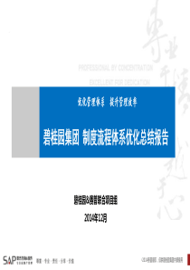 碧桂园制度流程体系优化总结报告(上会版)-1223