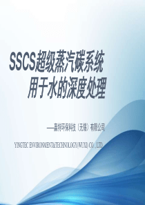 陈亚丽超级蒸汽碳系统SSCS用于水的深度处理