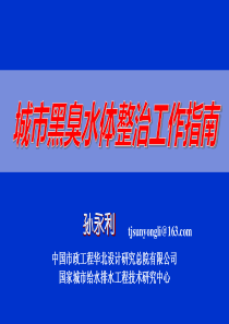 城市黑臭水体整治工作指南解读孙永利pdf