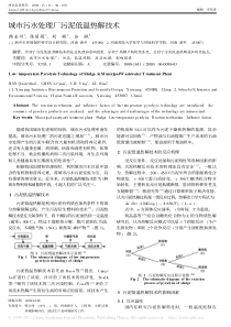 城市污水处理厂污泥低温热解技术