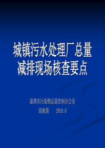 城镇污水处理厂总量减排现场核查要点2019年6月