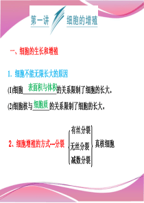 高三一轮复习细胞的生命历程