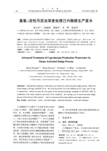 臭氧活性污泥法深度处理己内酰胺生产废水