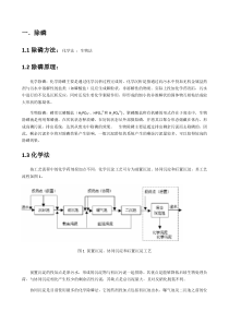 除磷报告最终版efbab5a54028915f804dc2e2