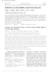 处理城市污水的好氧颗粒污泥培养及形成过程刘绍根