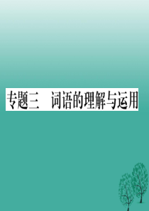 【人教版】2017年七下语文词语的理解与运用ppt课件(含答案)