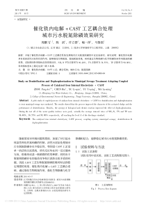 催化铁内电解CAST工艺耦合处理城市污水脱氮除磷效果研究