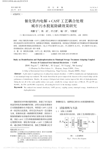 催化铁内电解CAST工艺耦合处理城市污水脱氮除磷效果研究周鹏飞