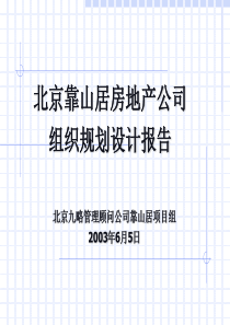 组织结构设计与关键流程分析主报告0604